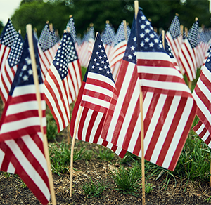 flags